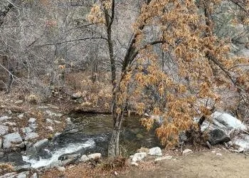 Brush Creek Dispersed Camping