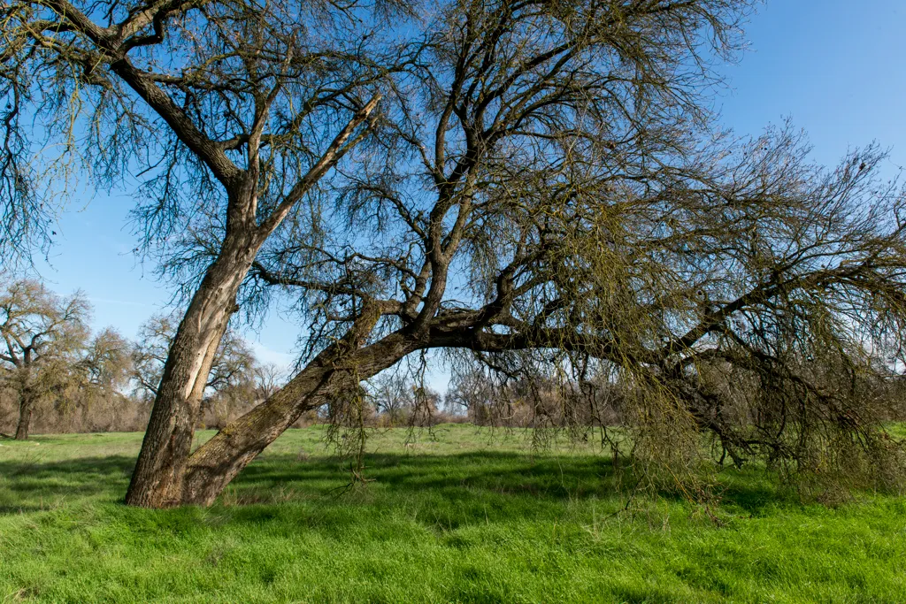 George Hatfield Group Campground