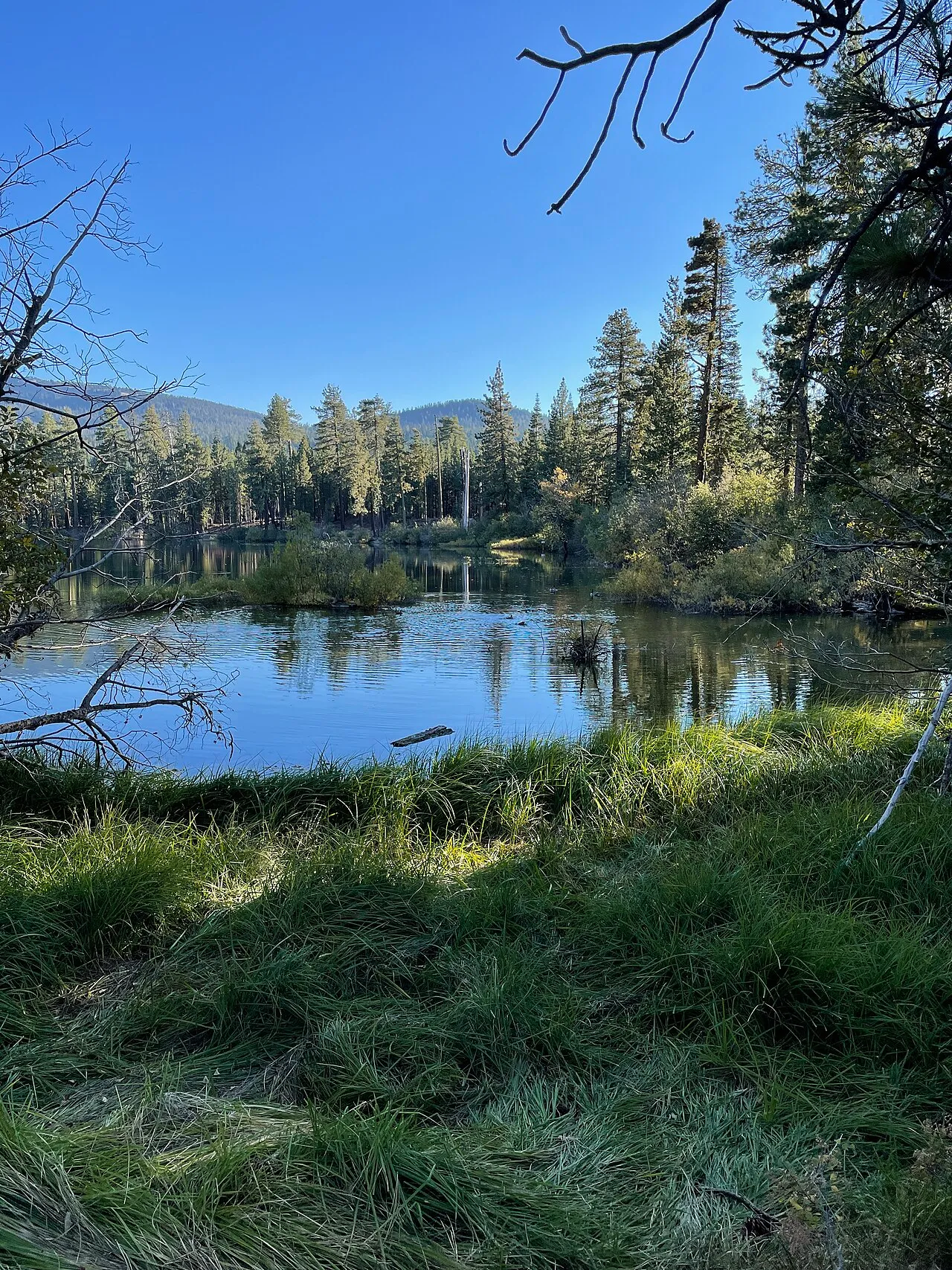 Southwest Campground - Winter/Spring