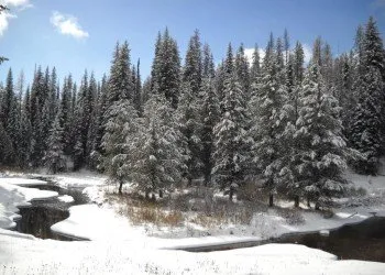 Spring Creek Campground