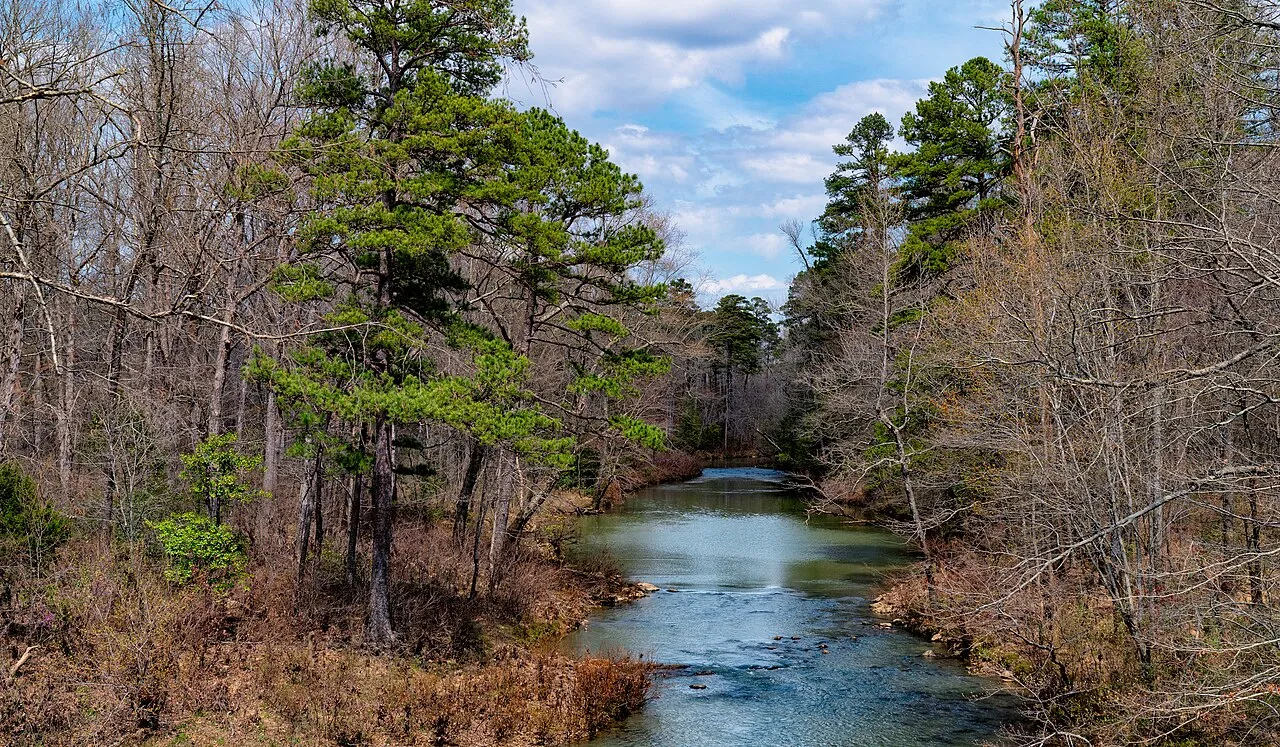 Lake Ouachita State Park