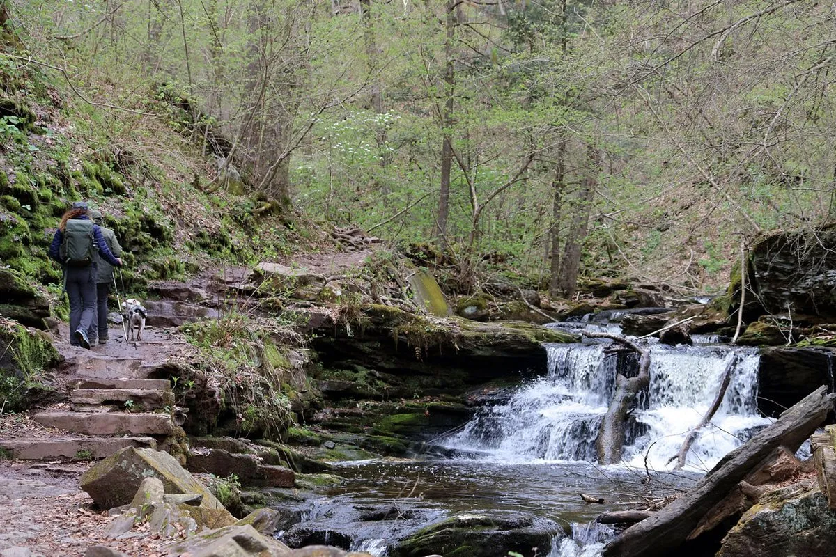 Ricketts Glen State Park