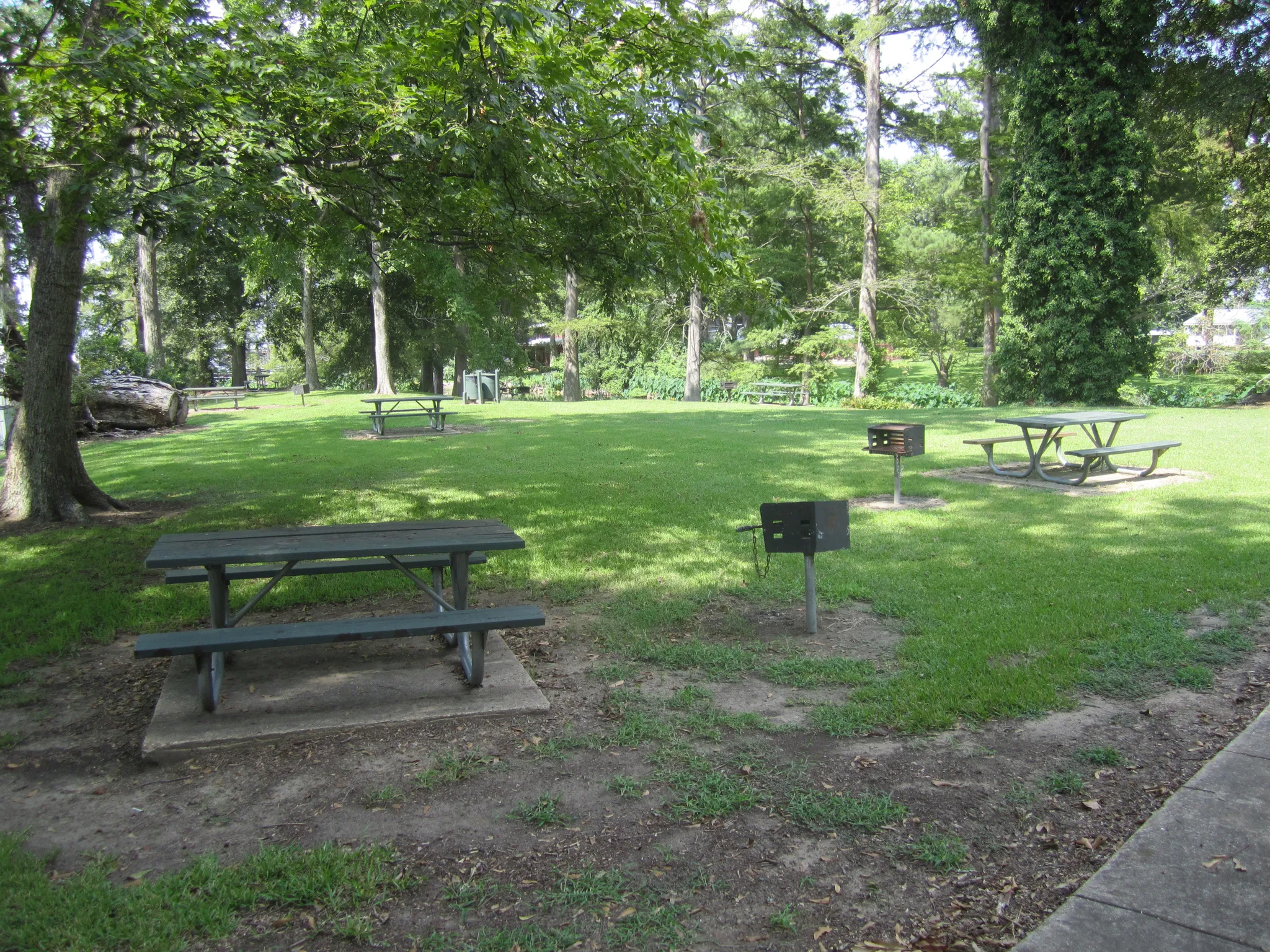 Lake Bruin Campground