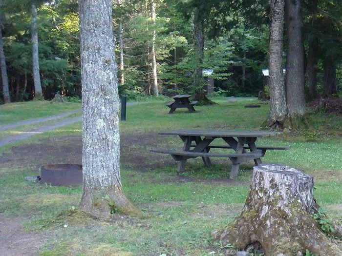 Emily Lake State Forest Campground
