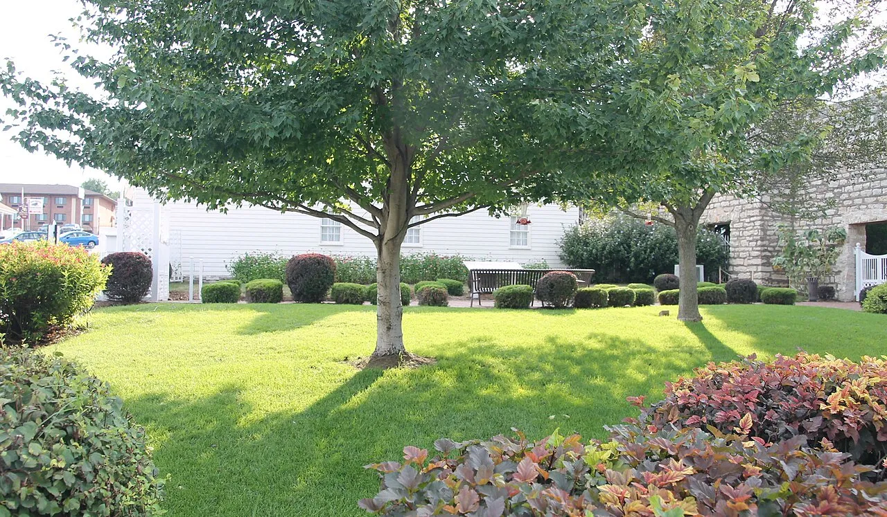 Coyote Campground