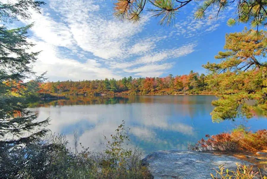 Woodland Valley