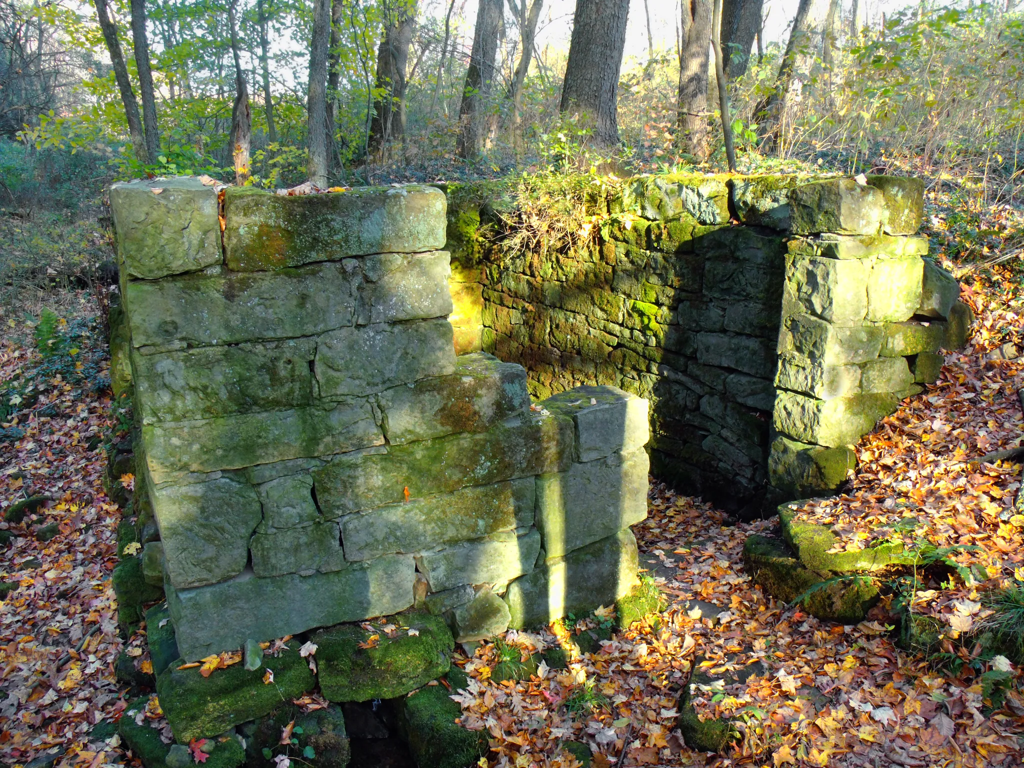 Maurice K Goddard State Park