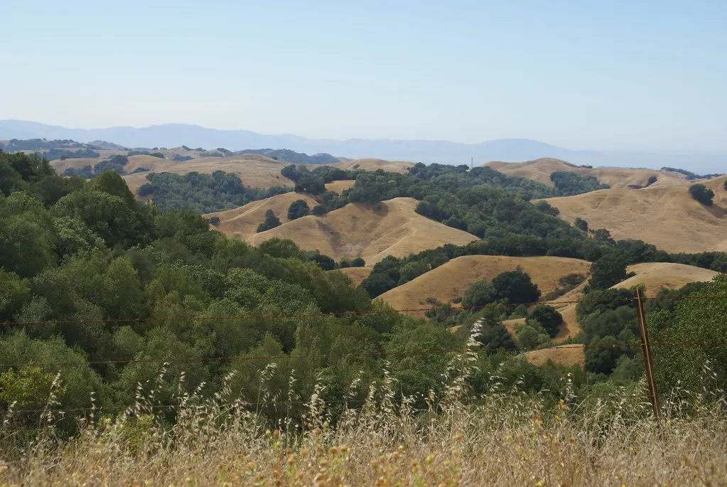 Briones Regional Park