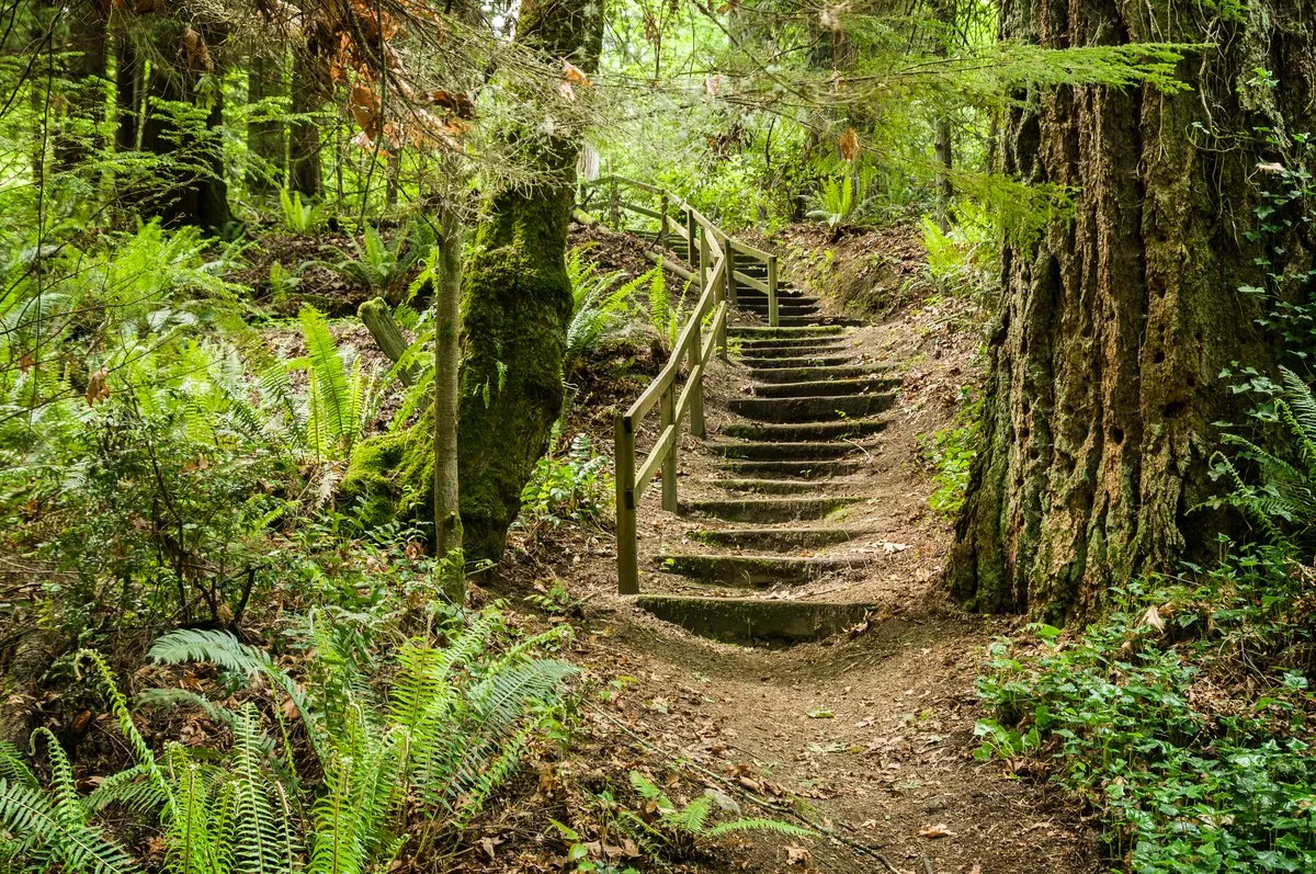 Illahee State Park