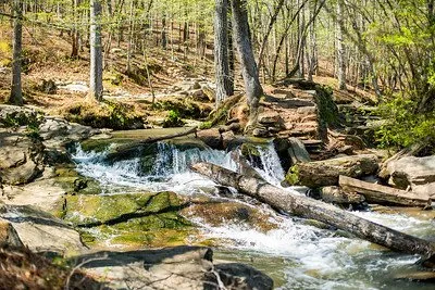 Sweetwater Creek State Park