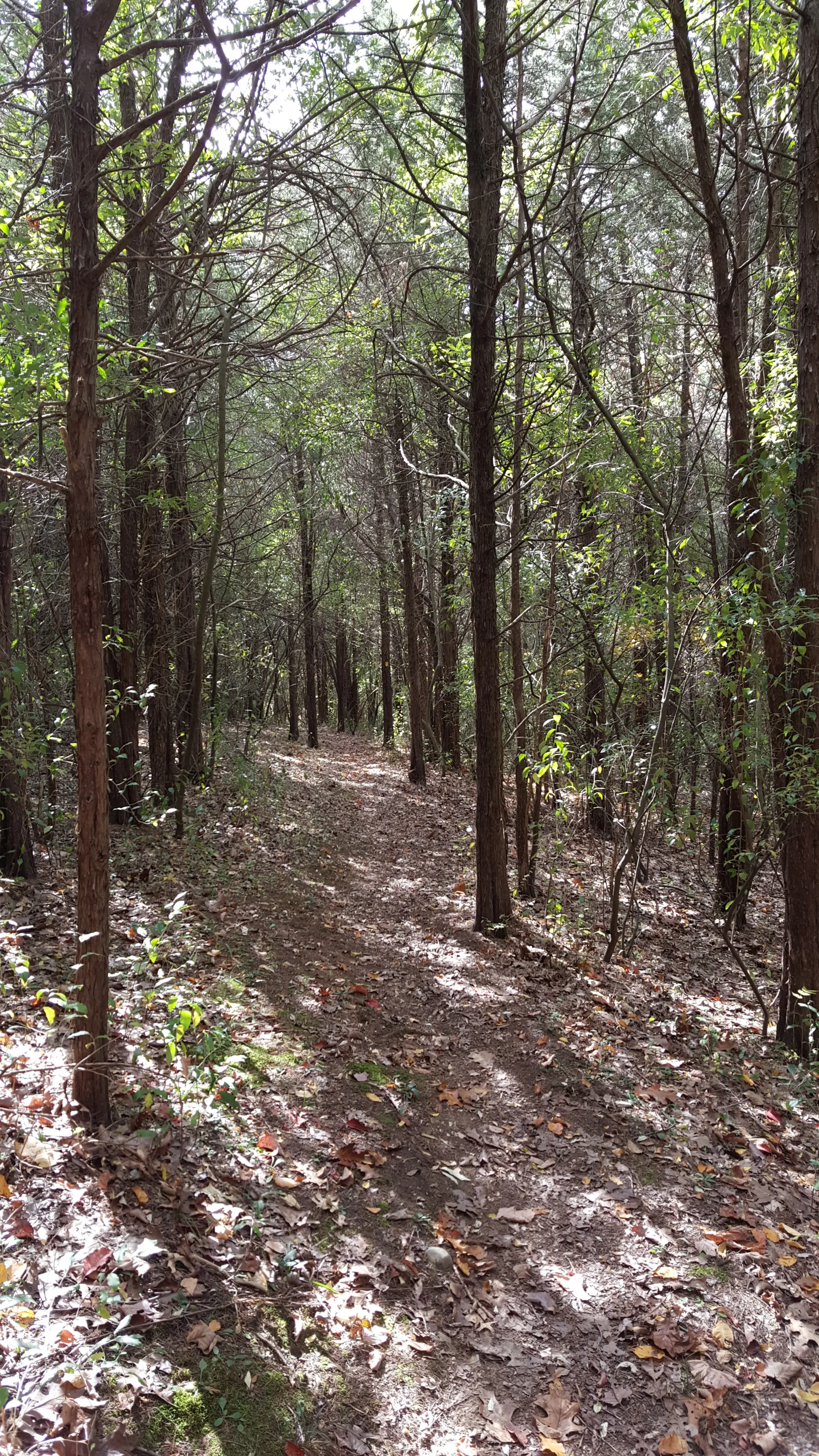 Swartswood Campground