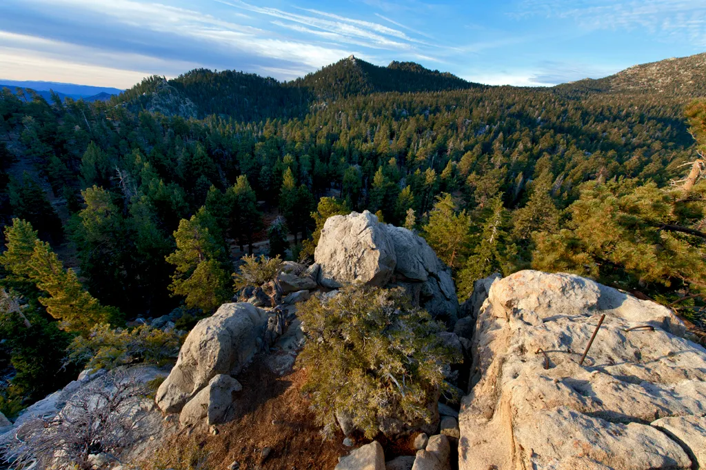Strawberry Junction Campground