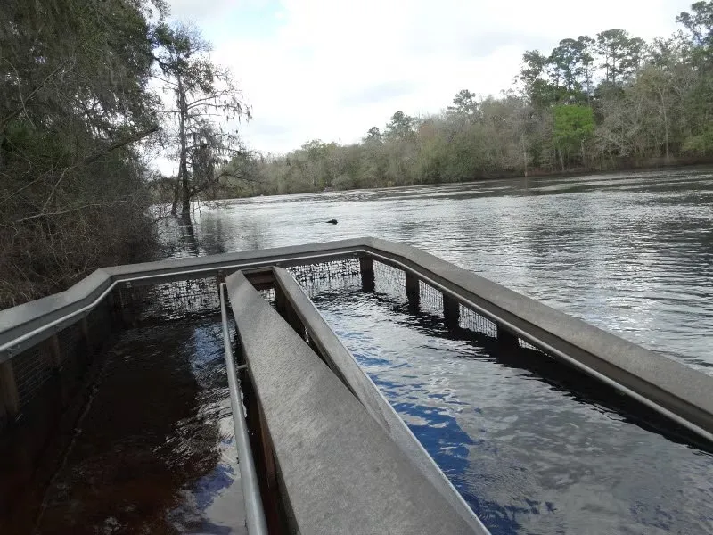 Suwannee
