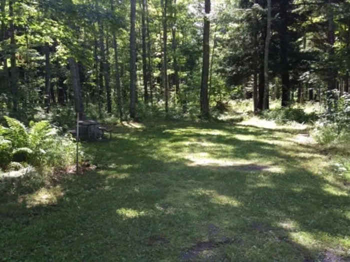 Big Eric's Bridge State Forest Campground
