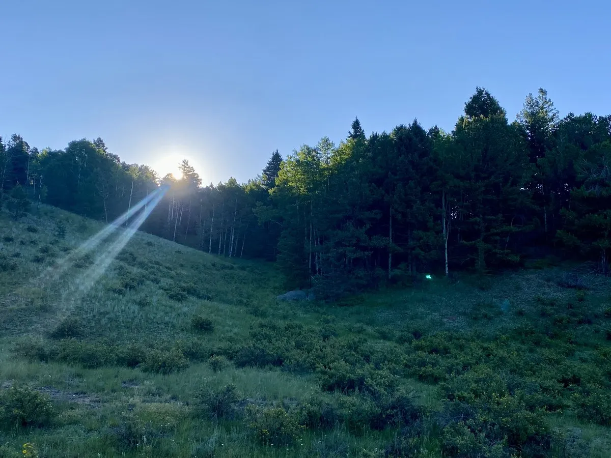 Mueller State Park