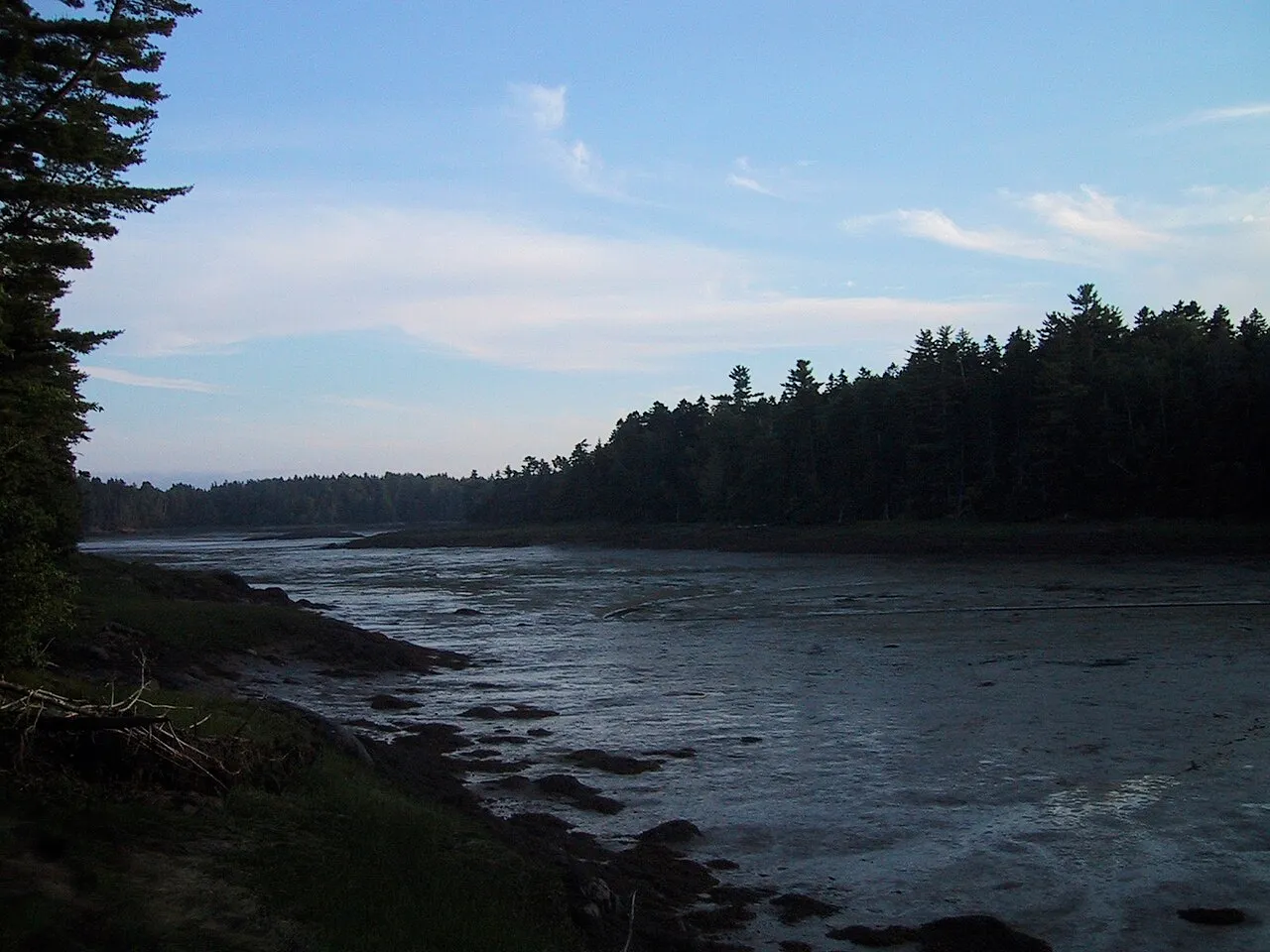 Cobscook Bay Campground