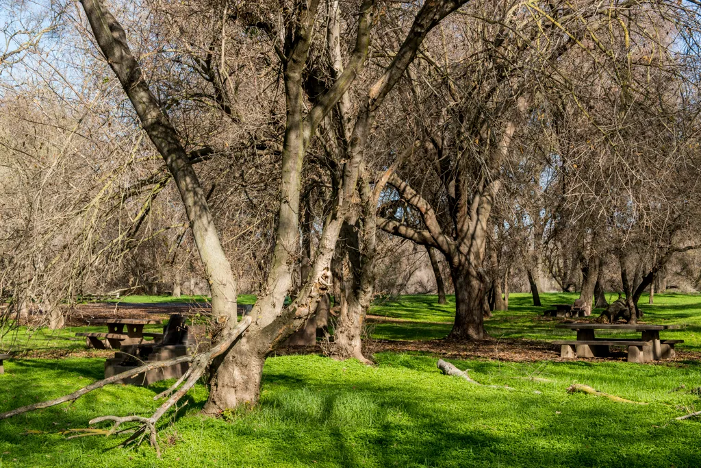 George Hatfield Group Campground