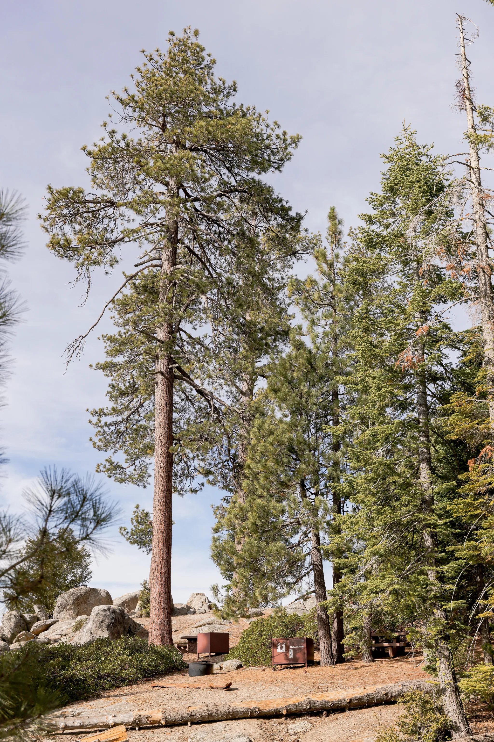 Sunset Campground (Ca)