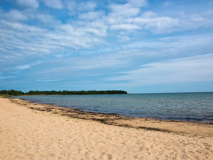 Hog Island Point State Forest Campground
