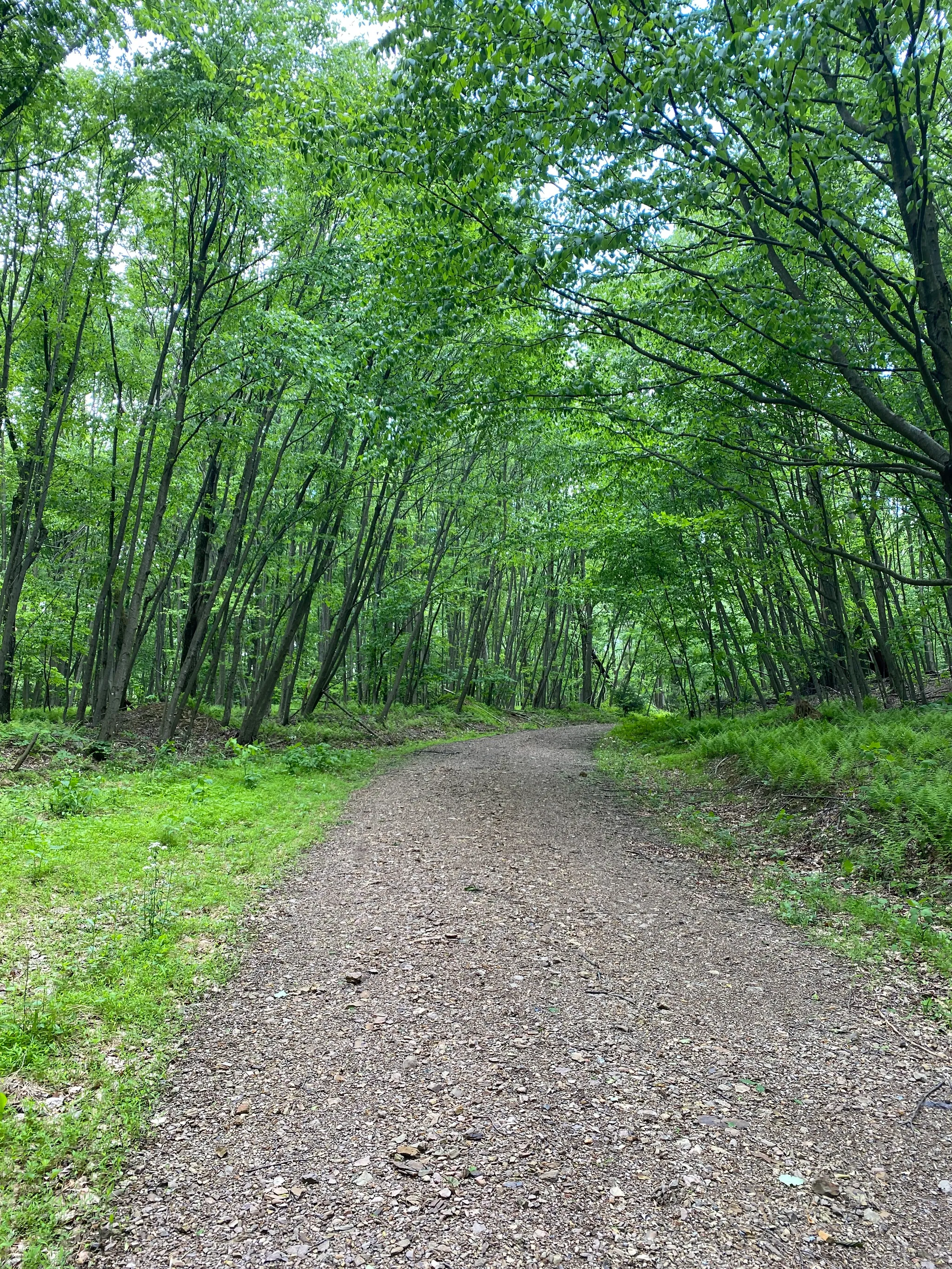 Fowlers Hollow State Park