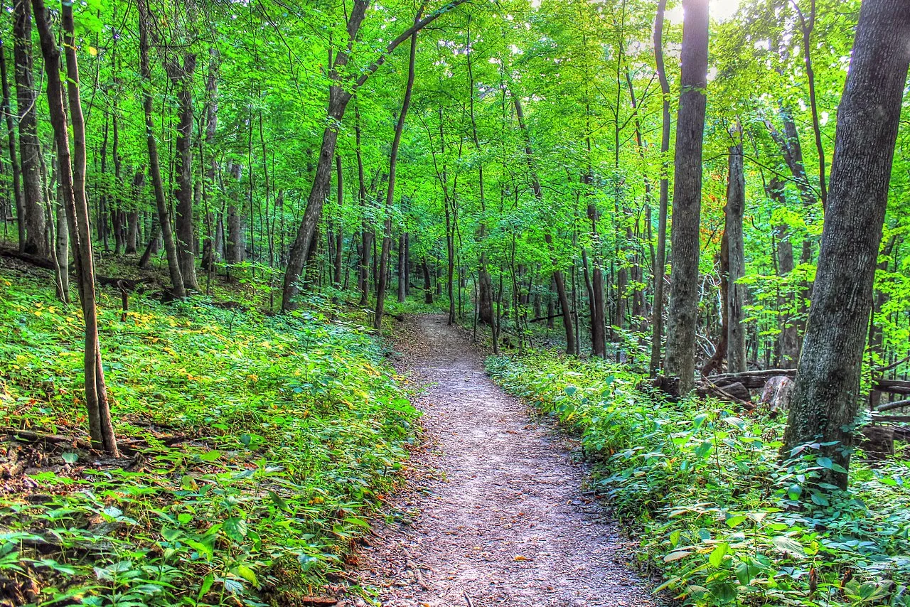 Wyalusing State Park
