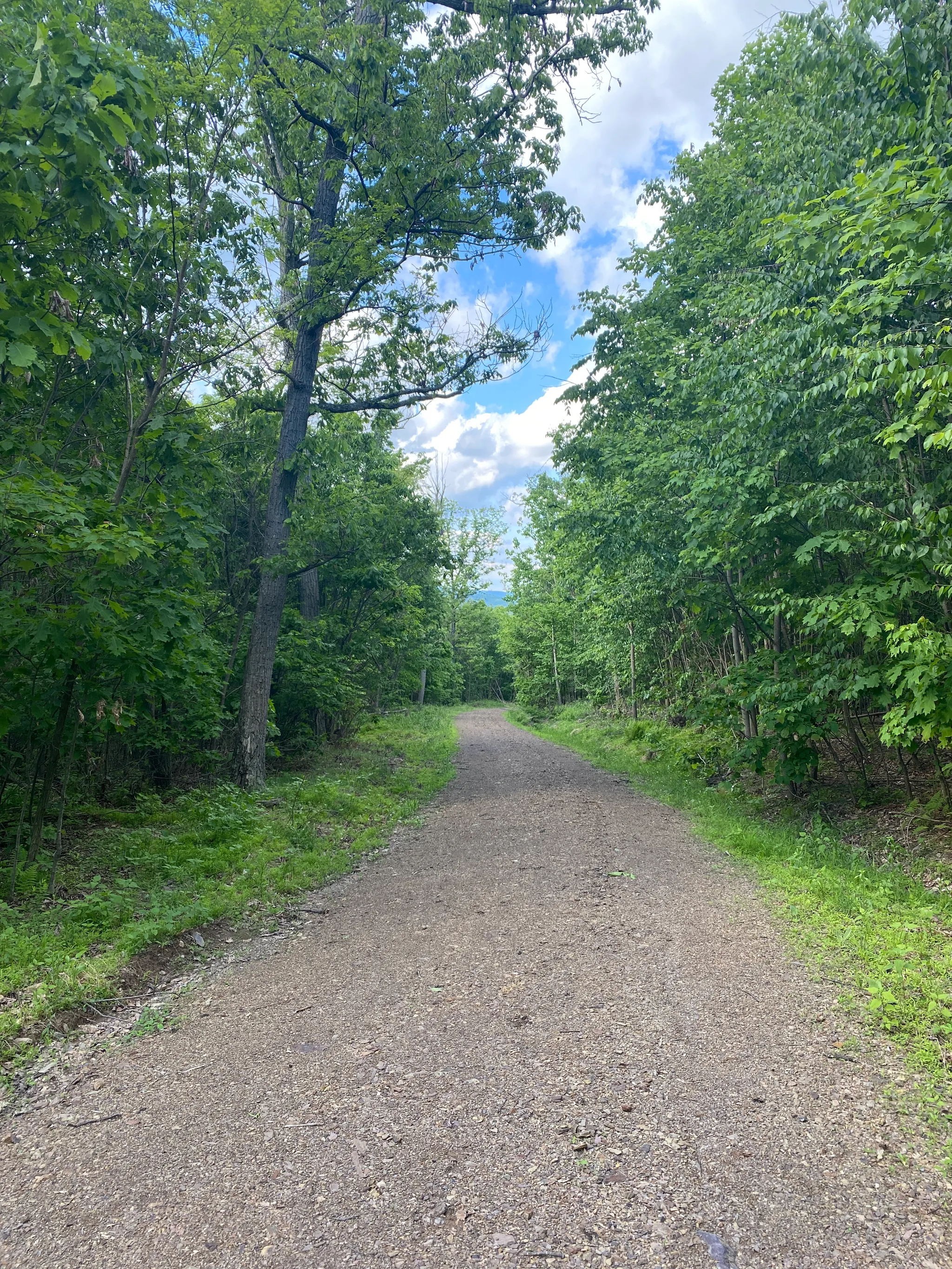 Fowlers Hollow State Park