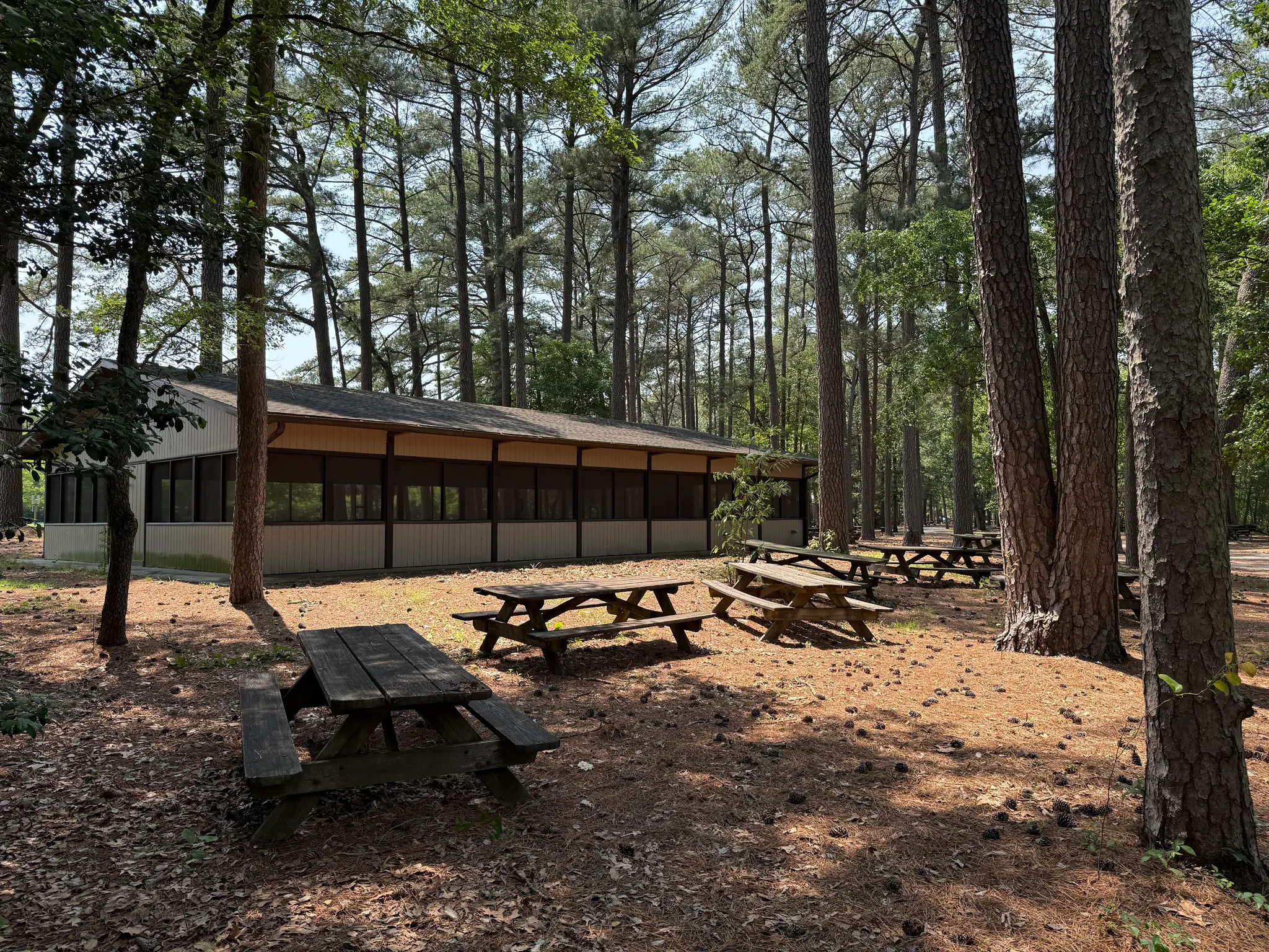 Trap Pond State Park