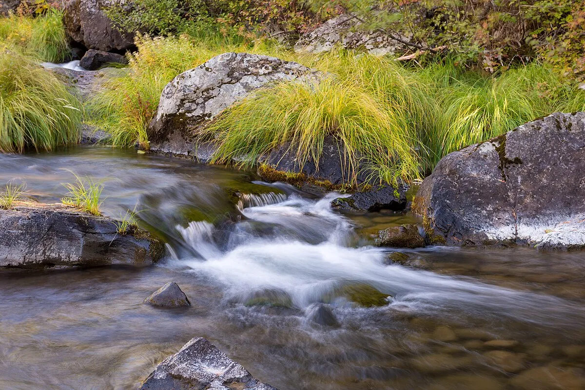 Deerhorn Campground