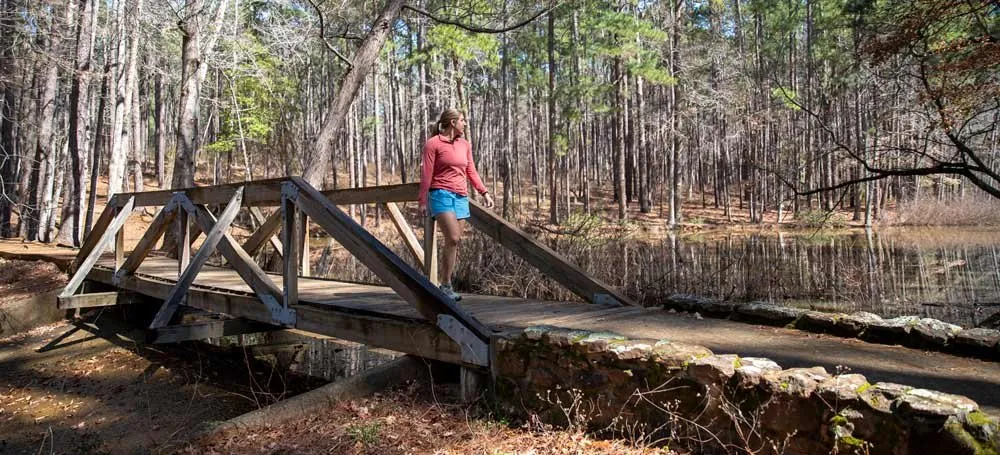 Mission Tejas State Park