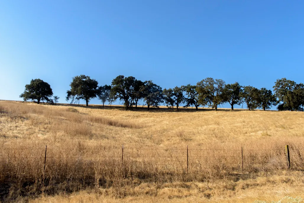 Turlock Lake State Recreation Area Campground