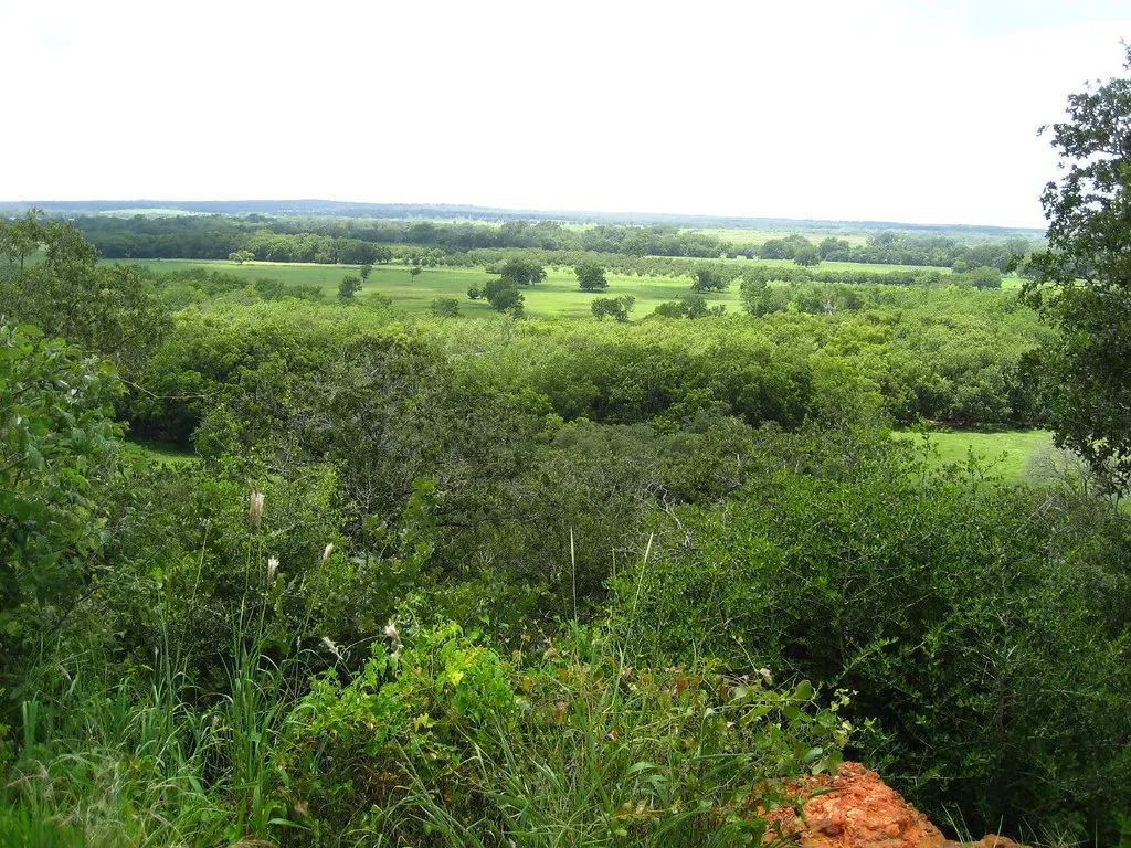 Palmetto State Park