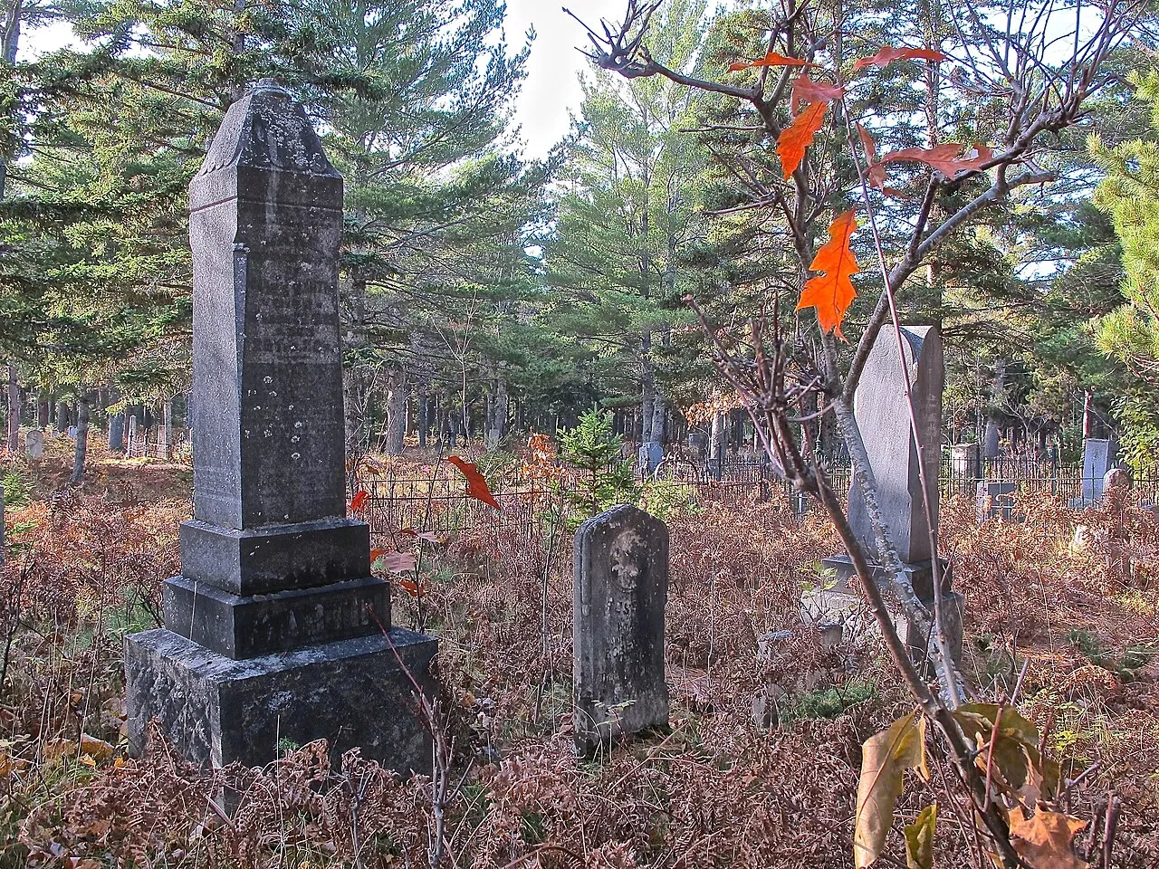 Pine Grove State Forest Campground