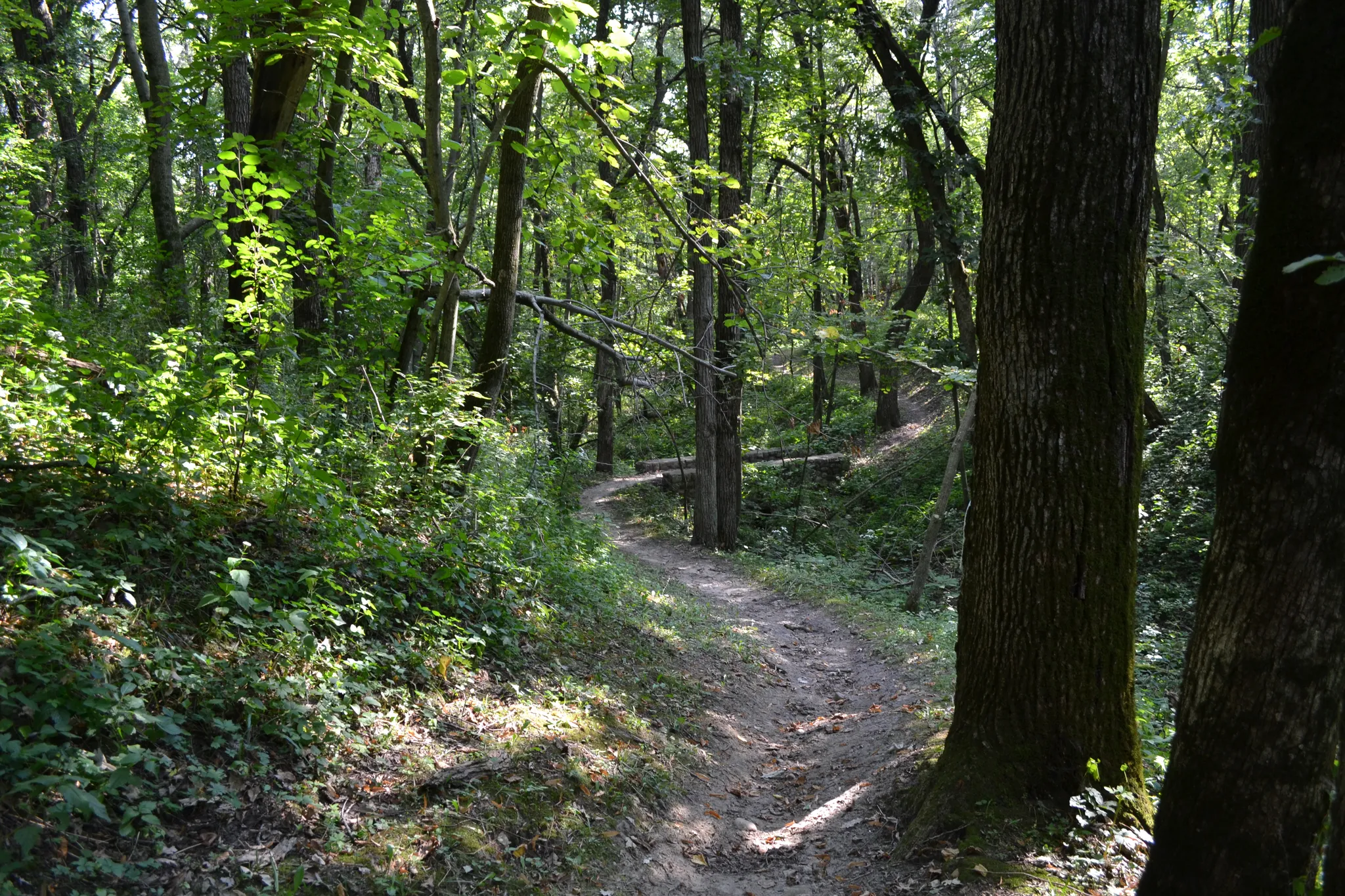 Pilot Knob State Park