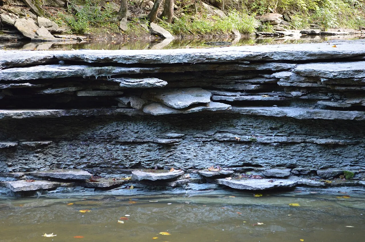 Caesar Creek Camp Loops A, B, C