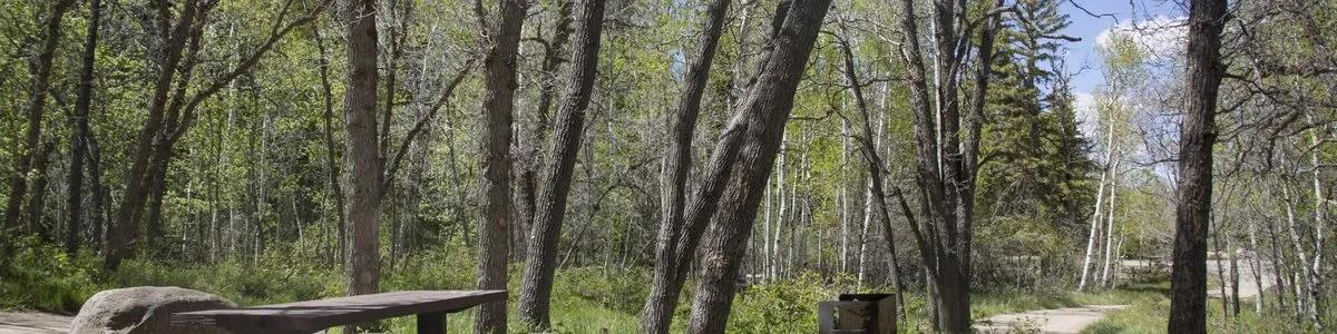 Great Meadows Campground