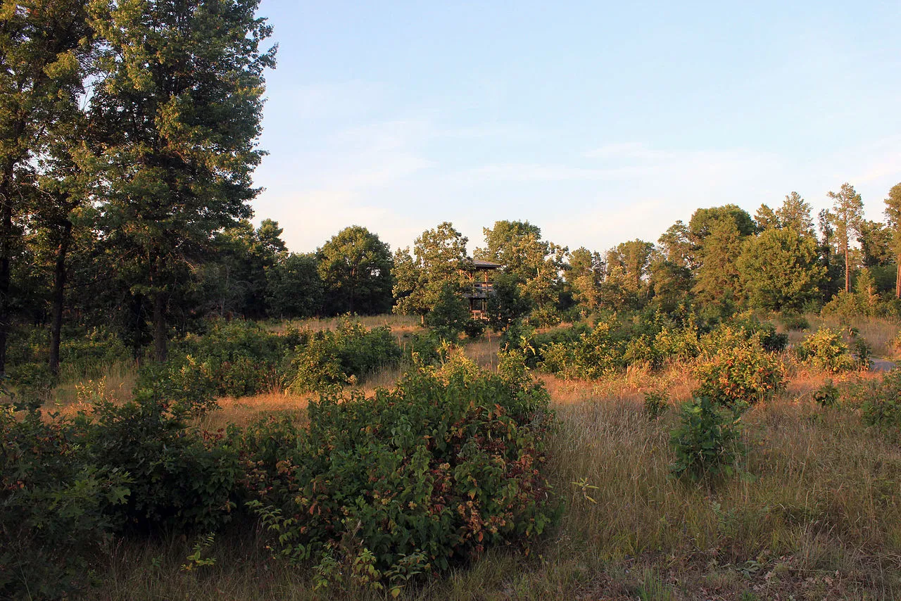 Buckhorn State Park
