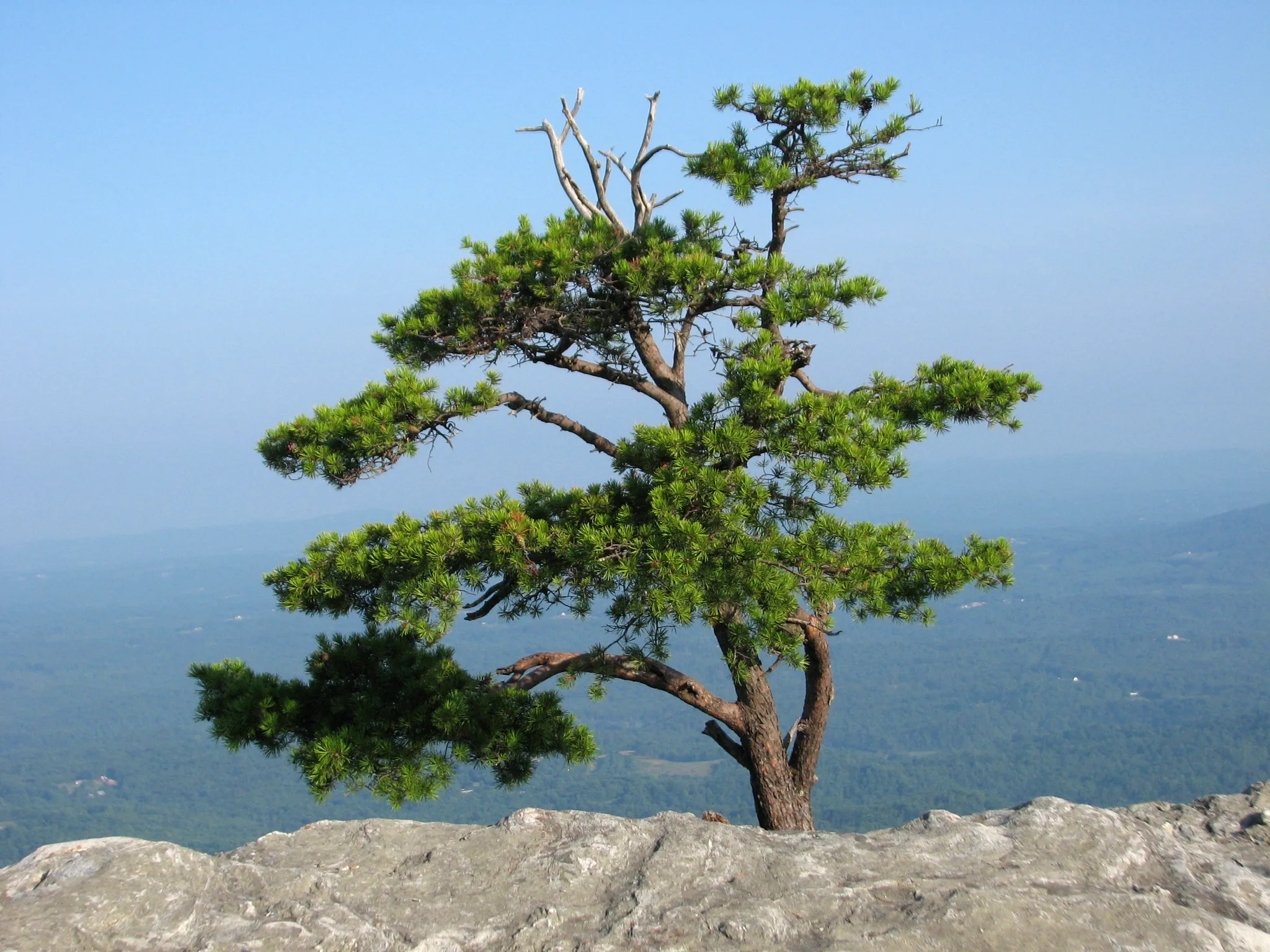 Hanging Rock State Park