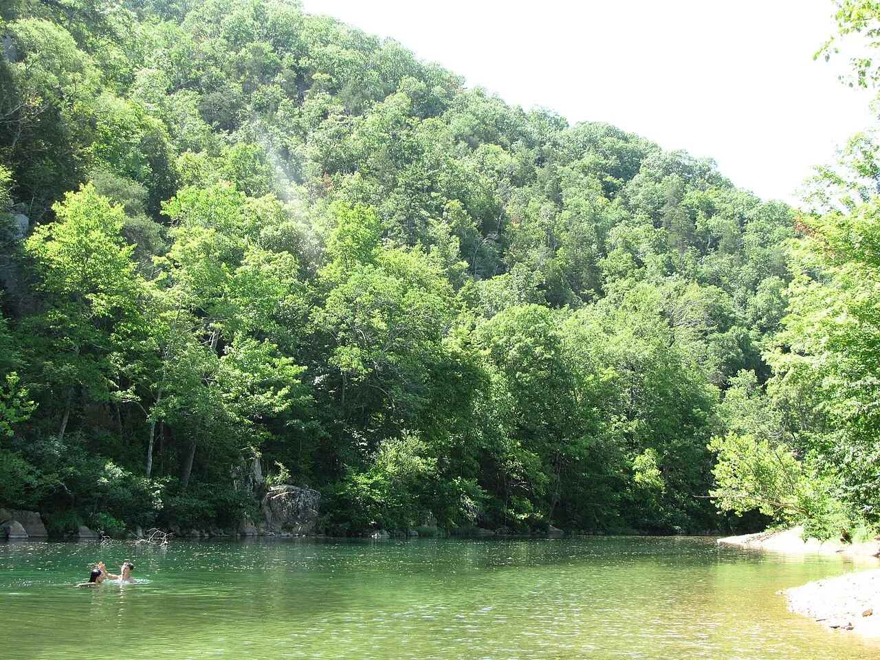 Campground 1 (Sites 44-95 And 195-208)