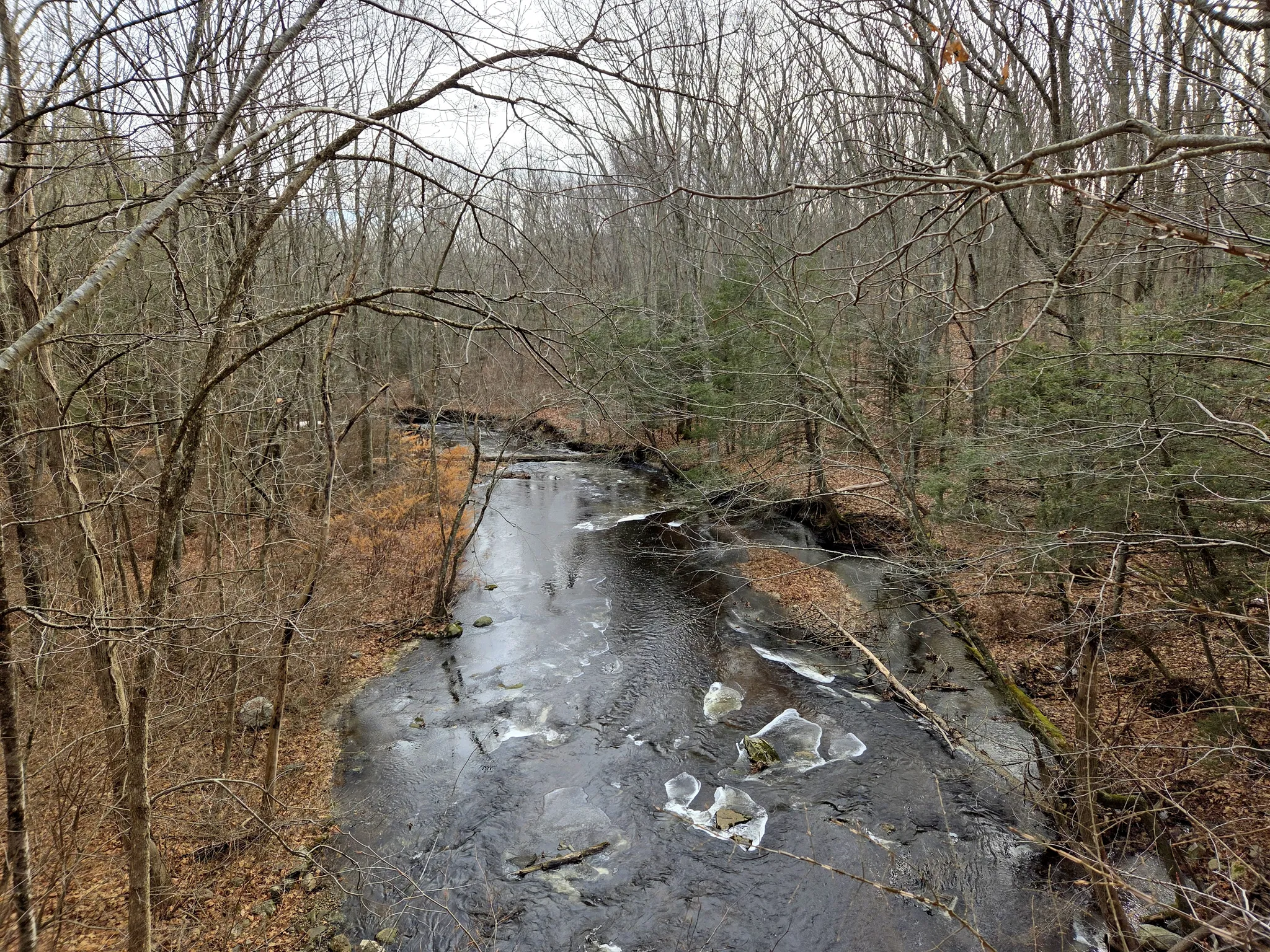 Mashamoquet Brook State Park