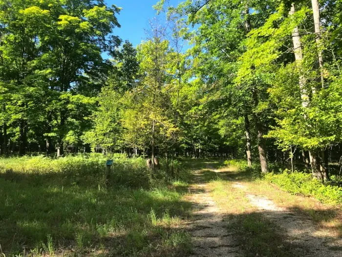 Johnson's Crossing Trail Camp