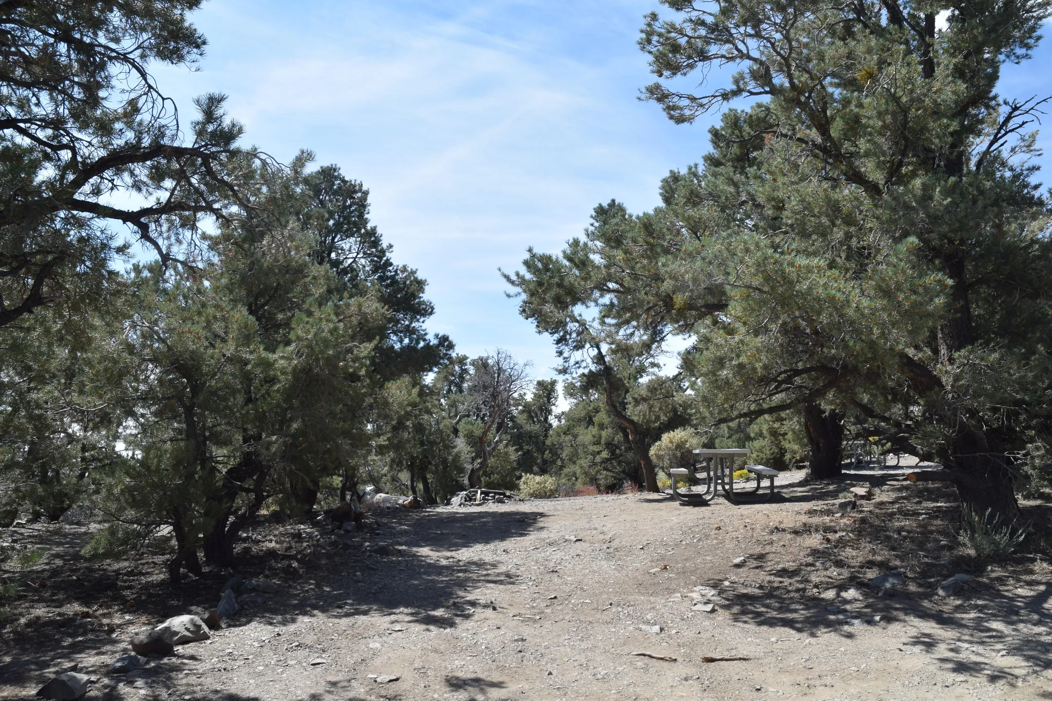 Mahogany Flat Campground (Primitive)