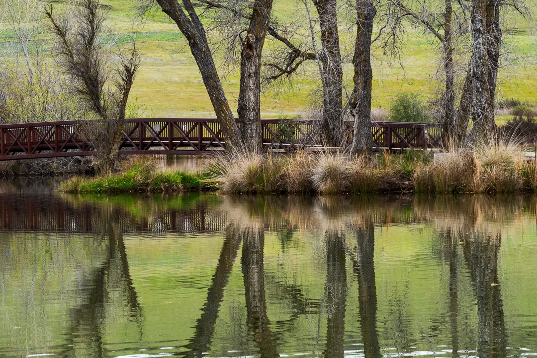 Loafer Creek Campground