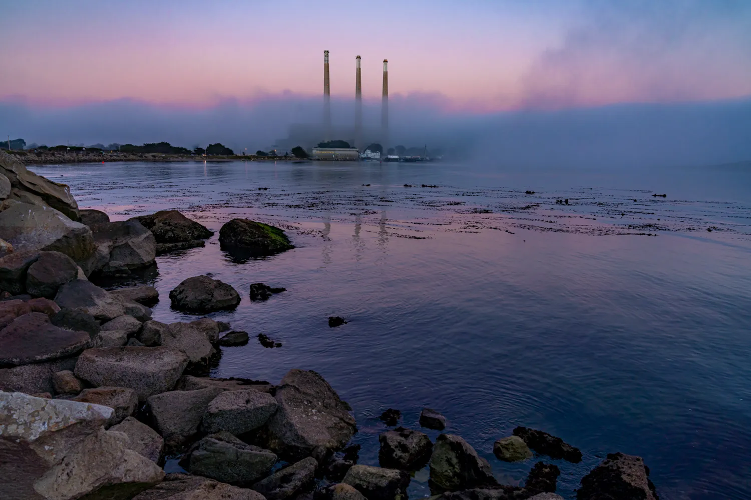 Morro Bay State Park Campground