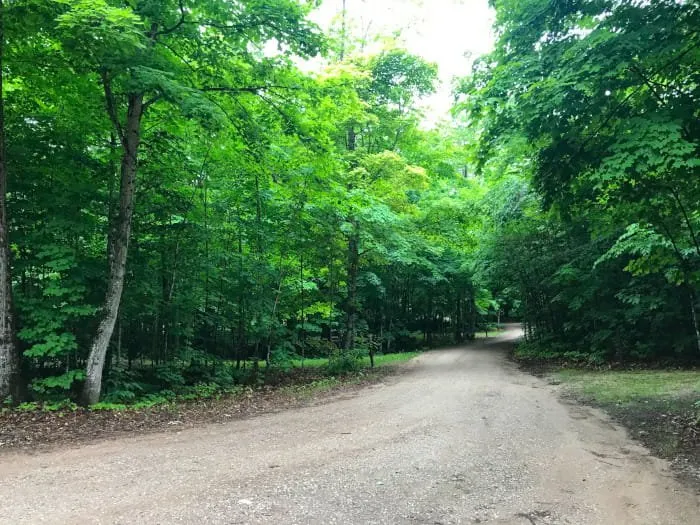 Bass Lake State Forest Campground (Luce)