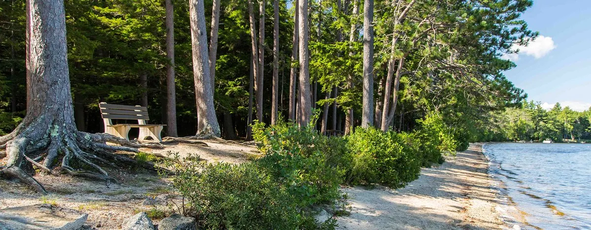Wadleigh State Park