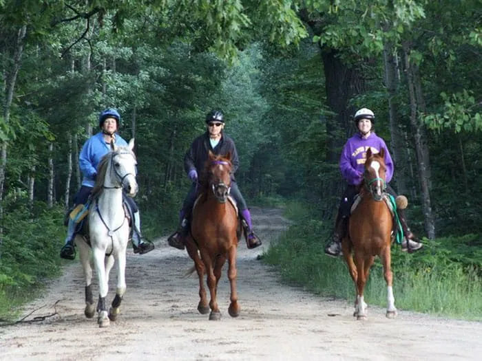 Hopkins Creek State Forest Campground