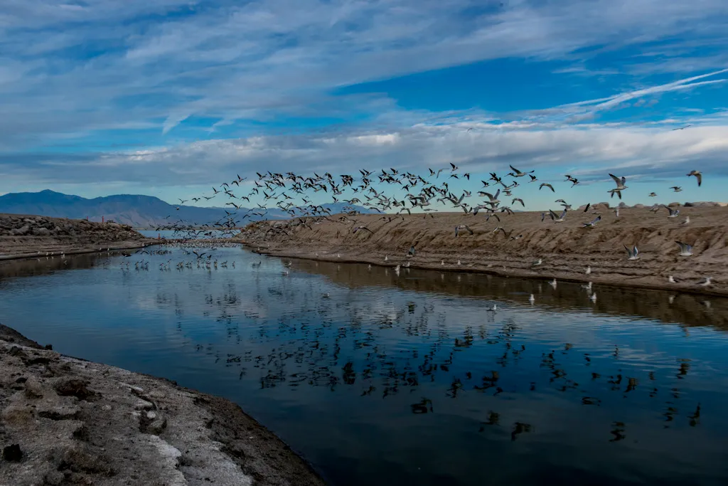 Salt Creek Beach Campground