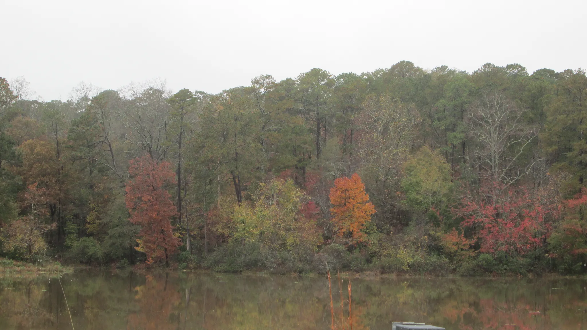 Hard Labor Creek State Park