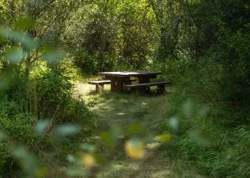 Trout Creek Campground