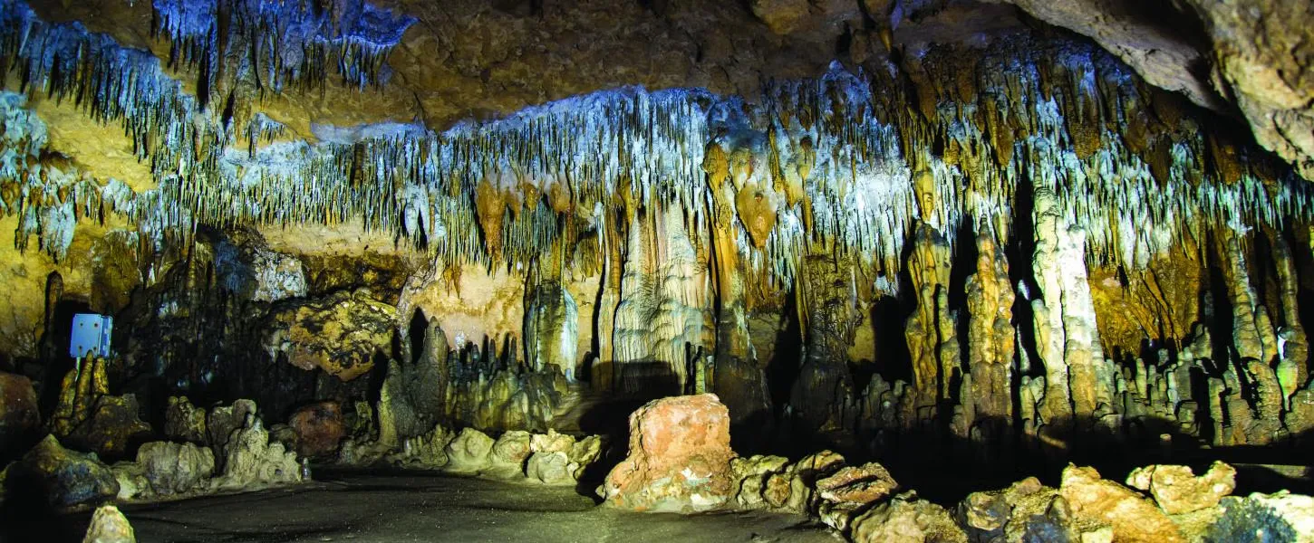 Florida Caverns State Park Campground